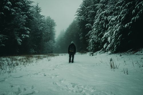Free A lone person walking through a snowy forest in San Carlos de Bariloche, Argentina during winter. Stock Photo