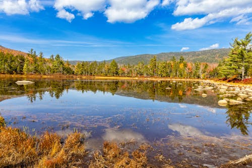 Scenic States That Shine Brightest in Autumn