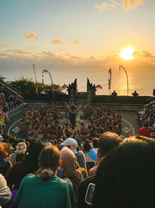 Back View of People at a Concert