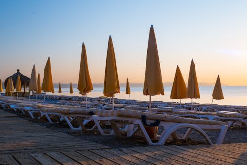 Gratis stockfoto met heldere lucht, natuur, parasols