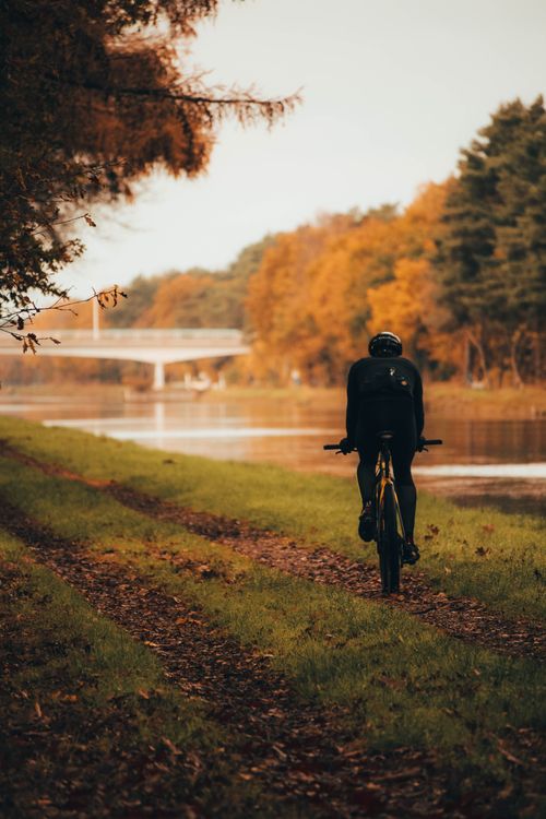 Free A cyclist biking along a riverbank lined with autumn foliage under a gentle sky. Stock Photo