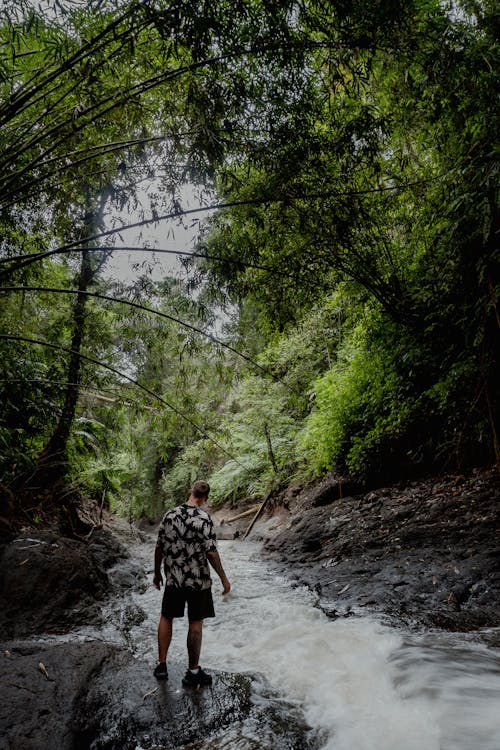 Free A Man in Aloha Shirt Standing on Rock Near Stream Stock Photo