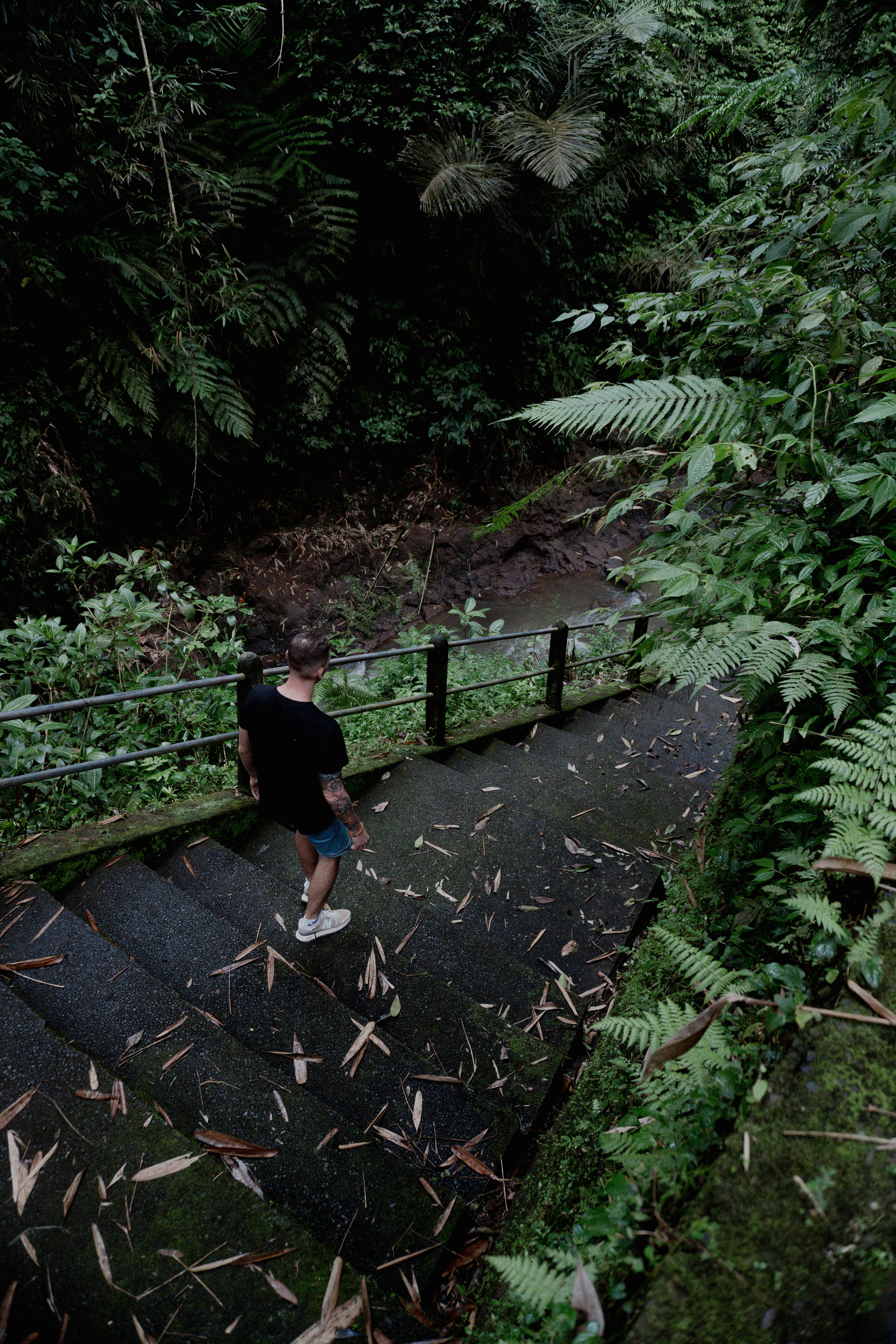 What are the 7 steps to being happy?