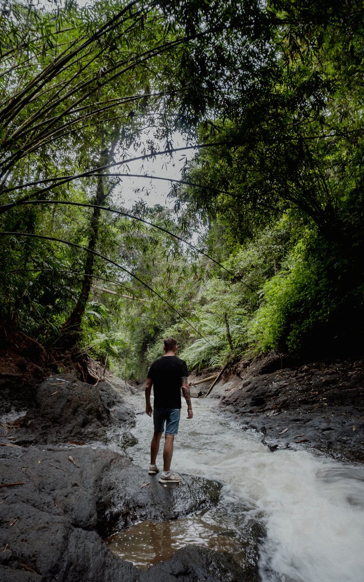 A Man In Black Shirt Standing On A Rocky River Between Green Trees