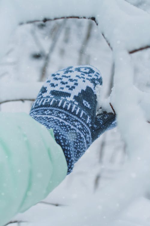 Immagine gratuita di freddo, guanto lavorato a maglia, inverno