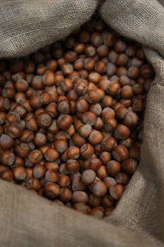 A top view of abundant hazelnuts in a burlap sack, showcasing earth tones.