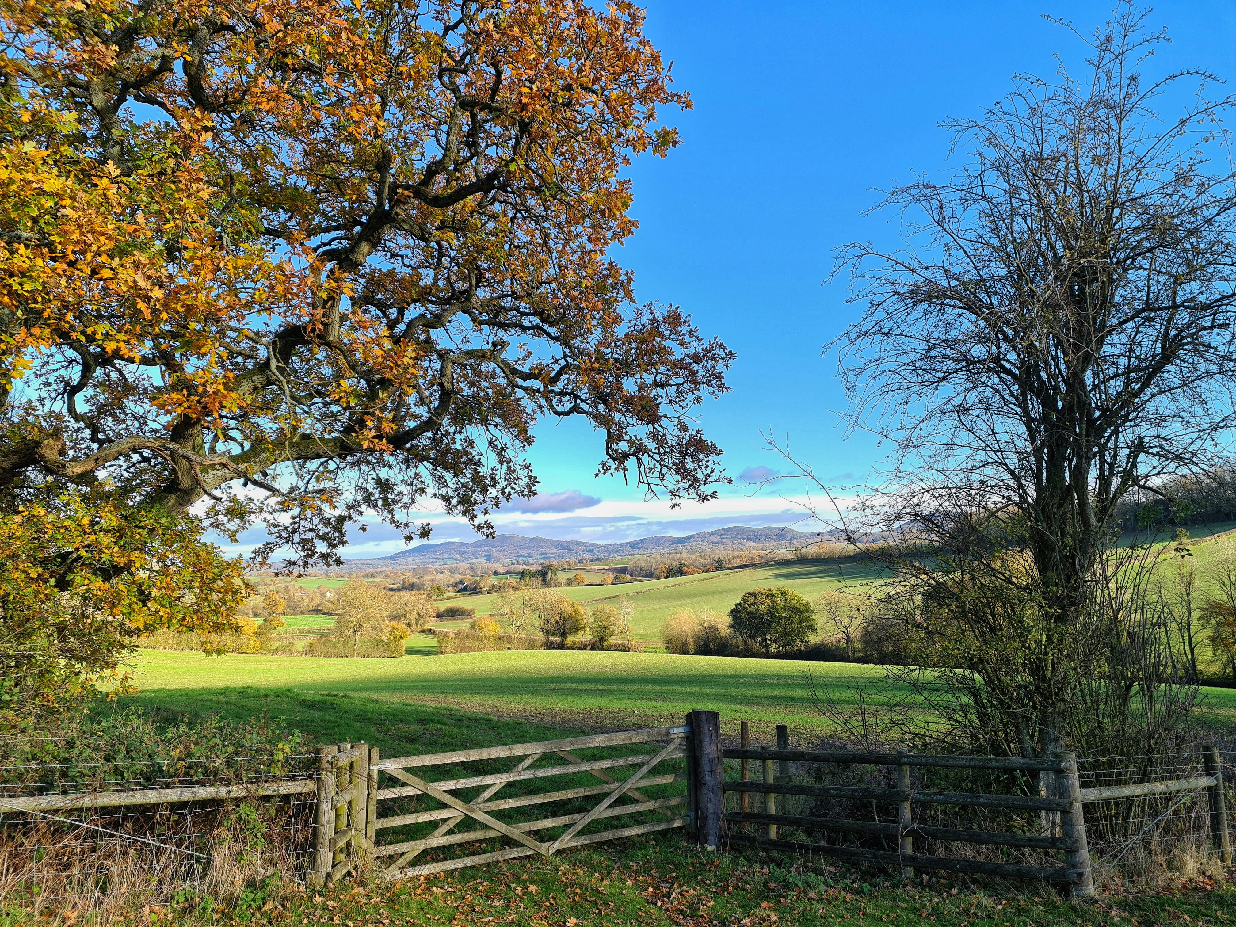 How can I tell if a fence is mine or my neighbors?