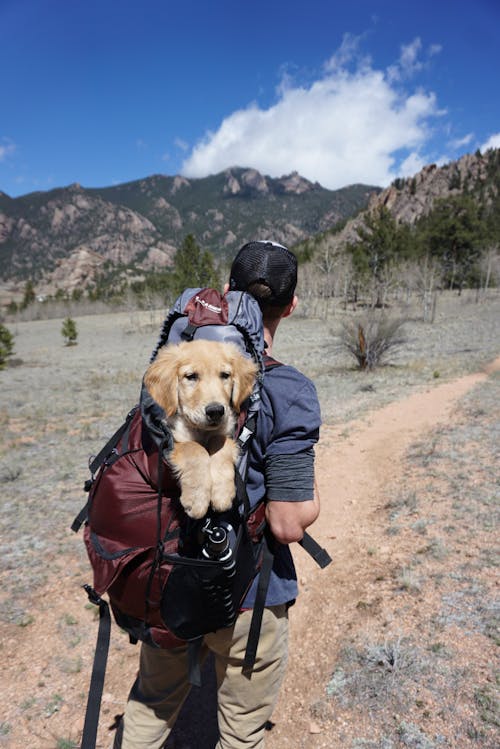 Hombre Con Bolsa De Camping Azul Y Granate