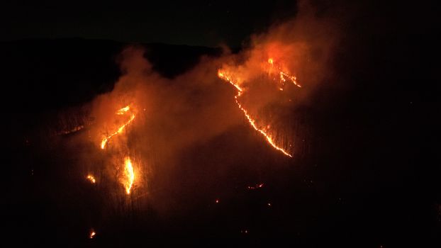 Aerial View of Forest Fire at Night
