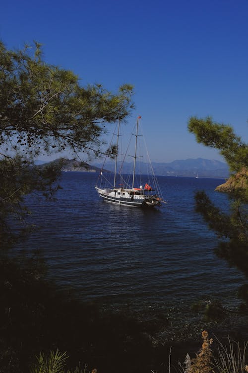 Free stock photo of boat, flag, forest