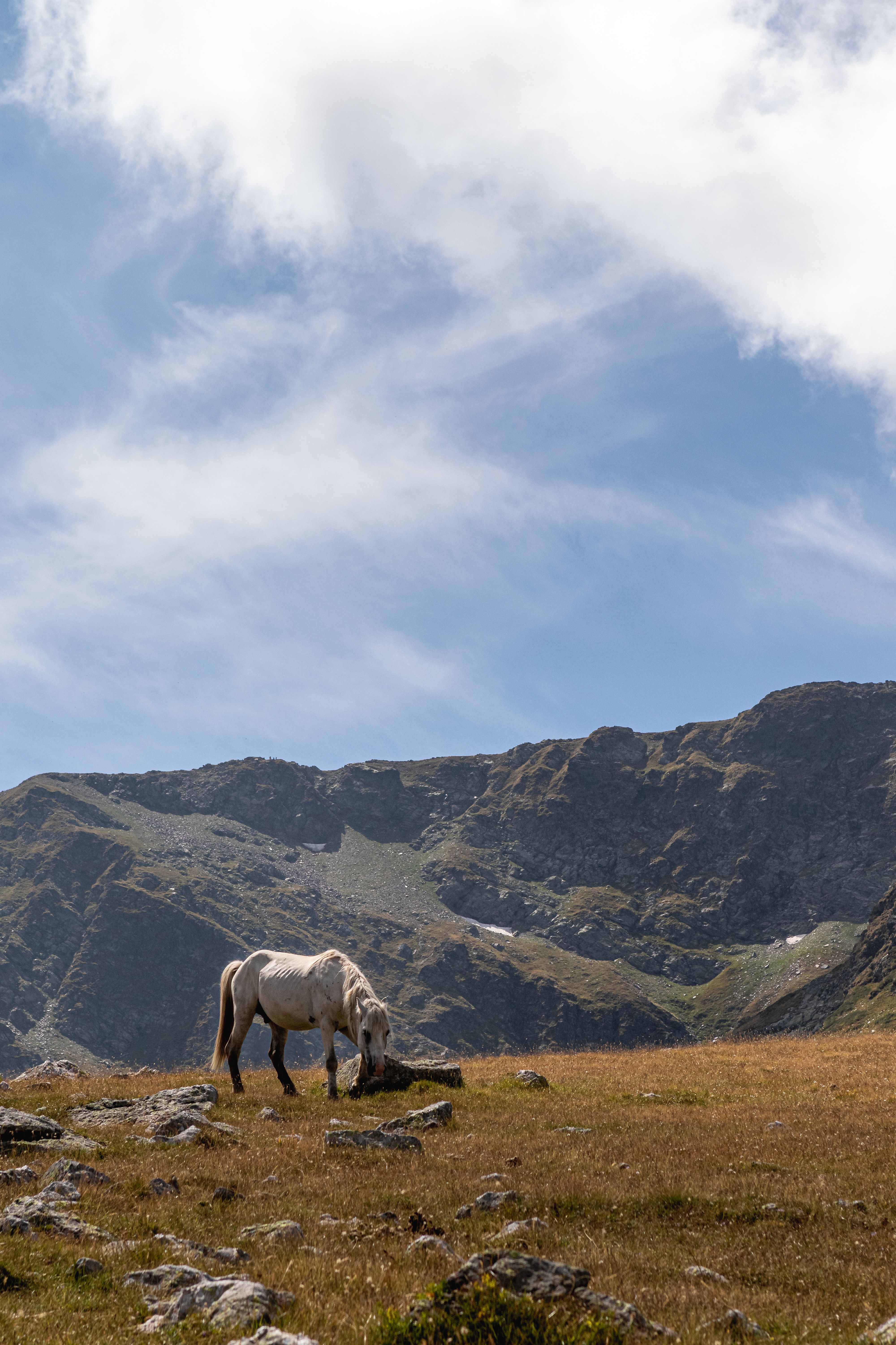A serene white horse grazing in a mountainous field under a blue sky.