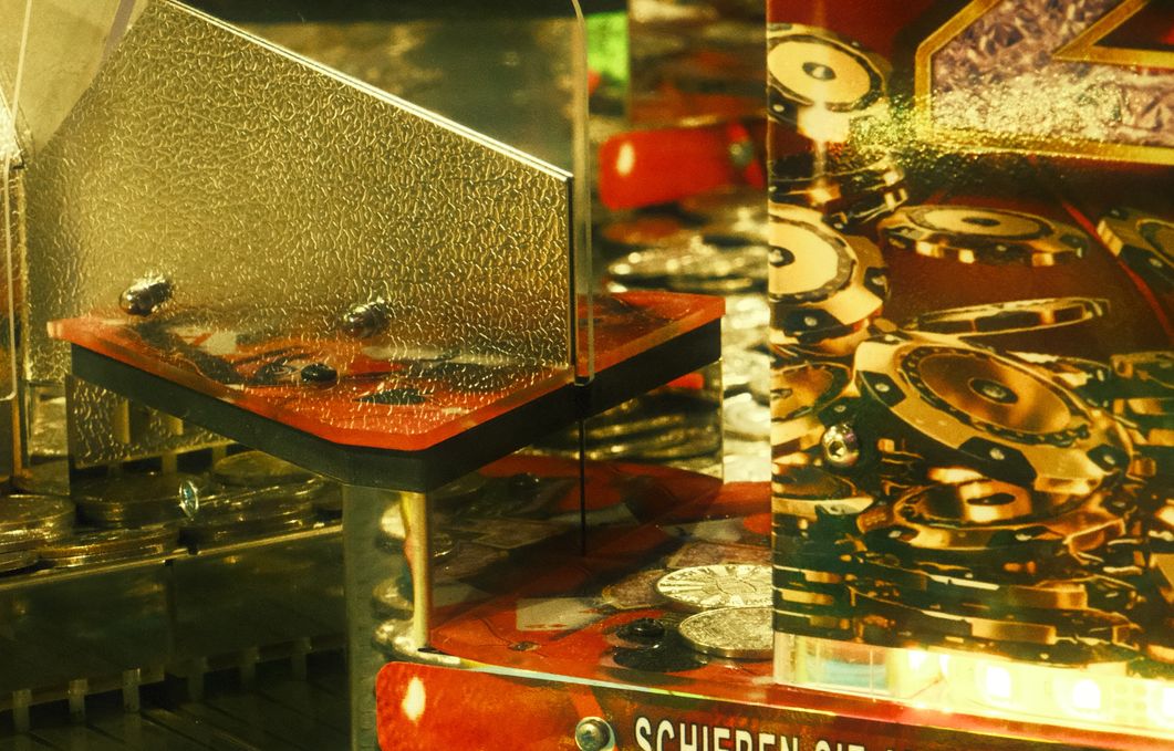 Online Casino: Spielautomaten und Live-Spiele im Überblick