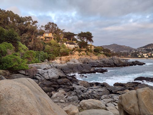 Free stock photo of beach, chile, forest