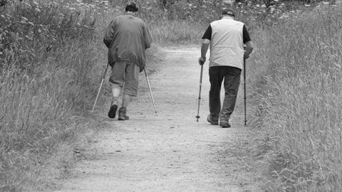 Two elderly men walking with trekking poles on a rural path, a peaceful countryside setting.