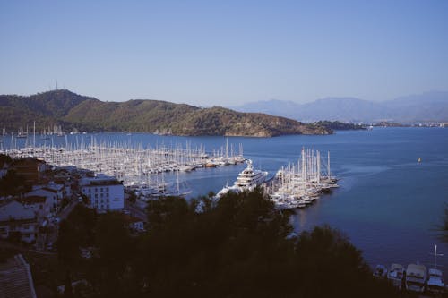 Sailboats Docked at the Marina