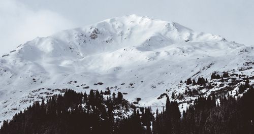 Free Majestic snow-covered mountain with forest in winter scenery. Perfect for nature themes. Stock Photo