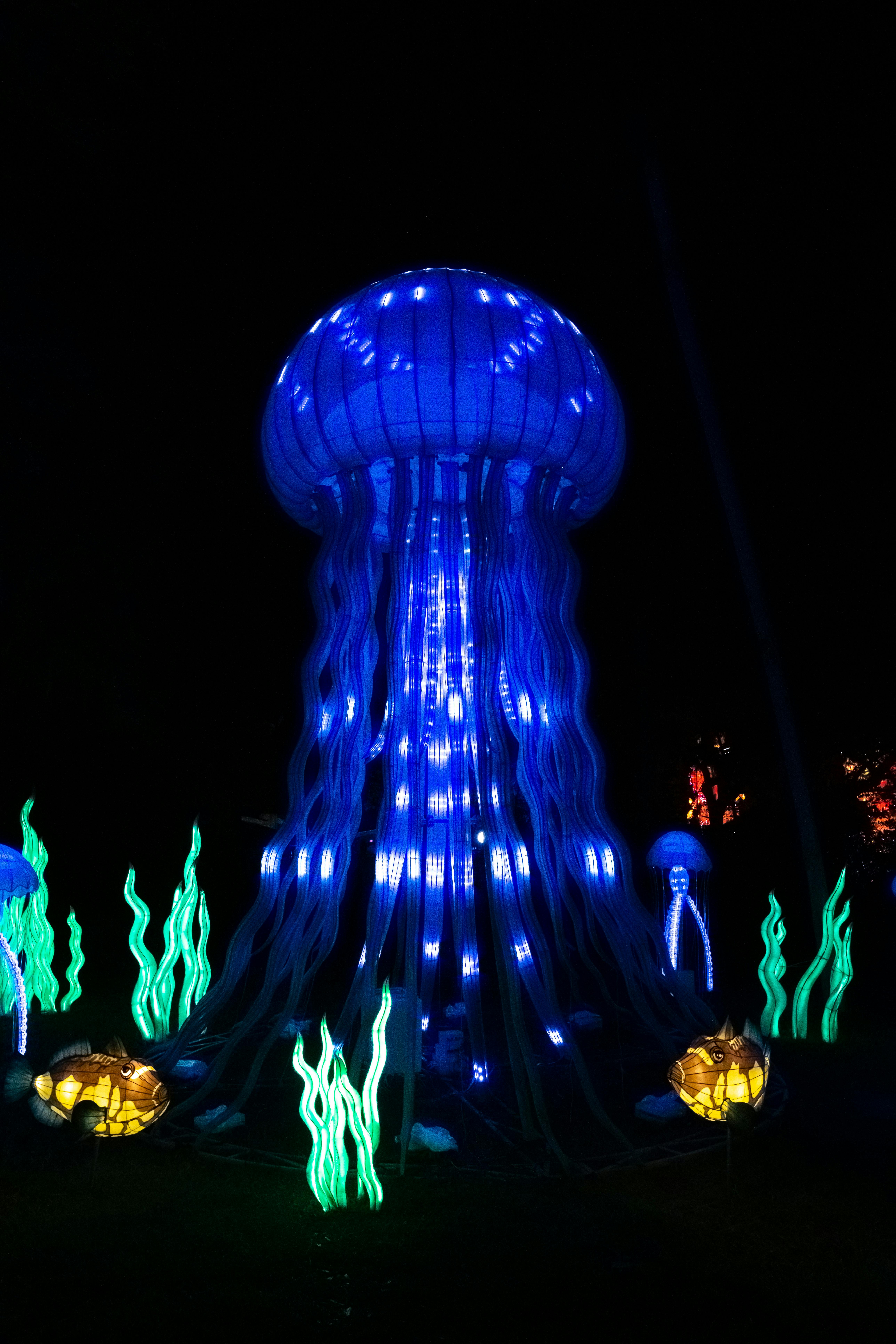 blue and purple lighted building during nighttime