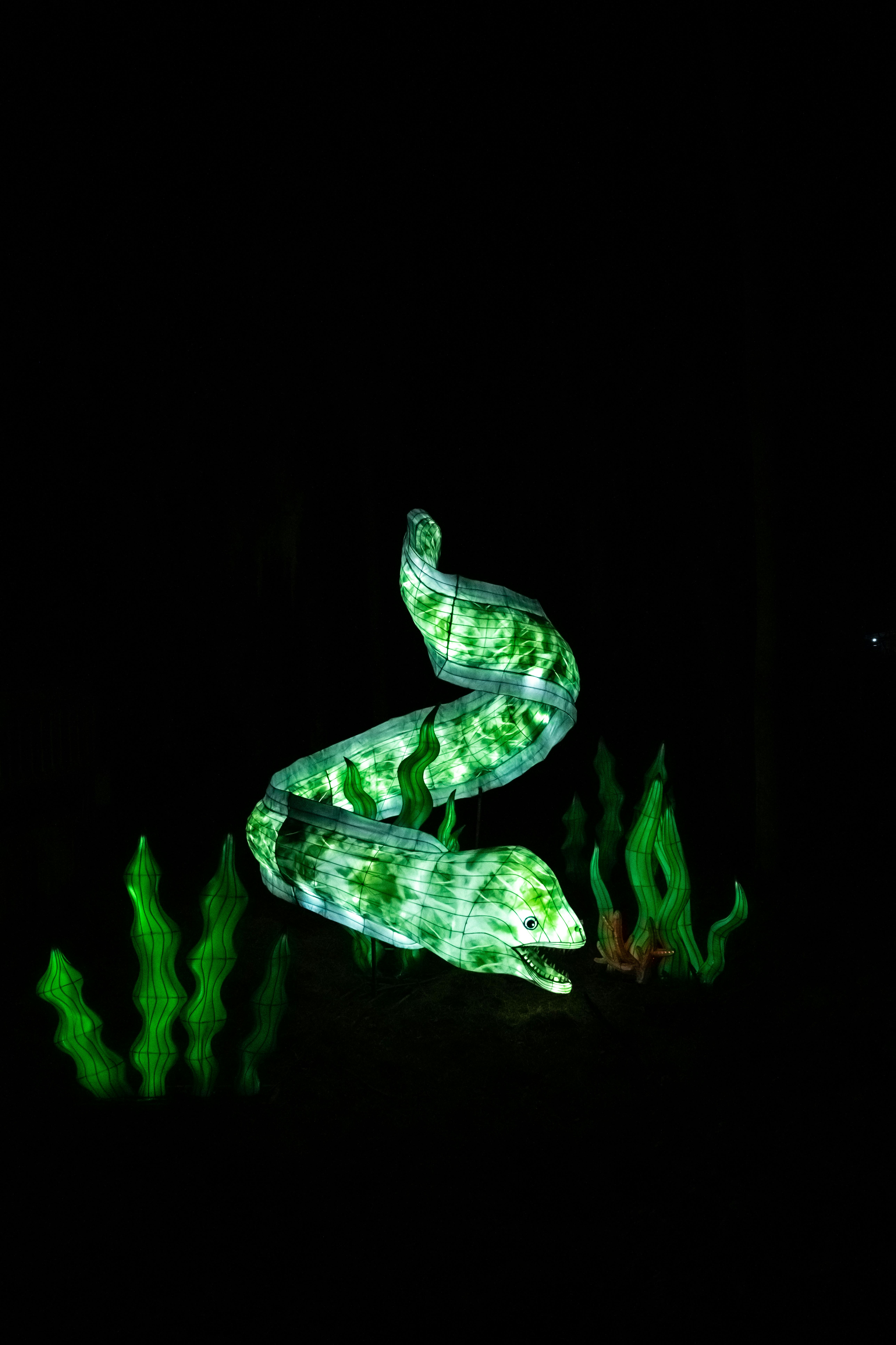 Apple va organiza două evenimente de lansare anual, iar în 2026 va lansa primul telefon pliabil și în 2027 un model cu ecran curbat