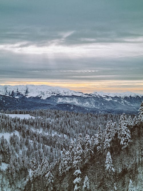 An Aerial Photography of Snow Covered Trees and Mountains