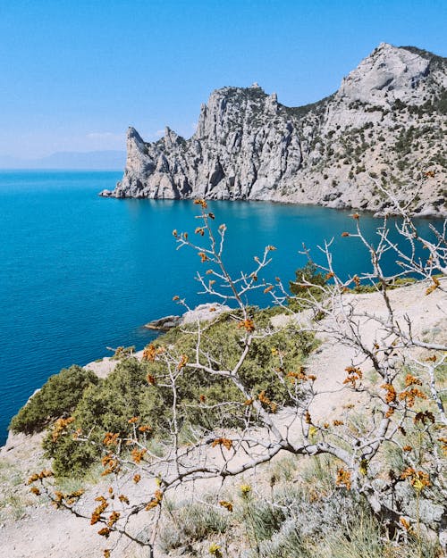 Ocean View From the Coastal Mountain