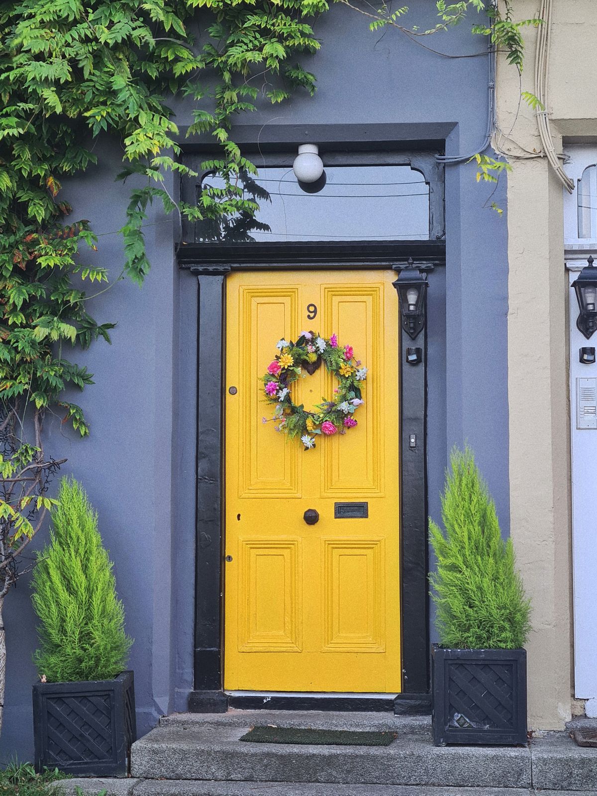 Bright yellow door in Ireland with a vibrant floral wreath, framed by green plants. Stock Photo.