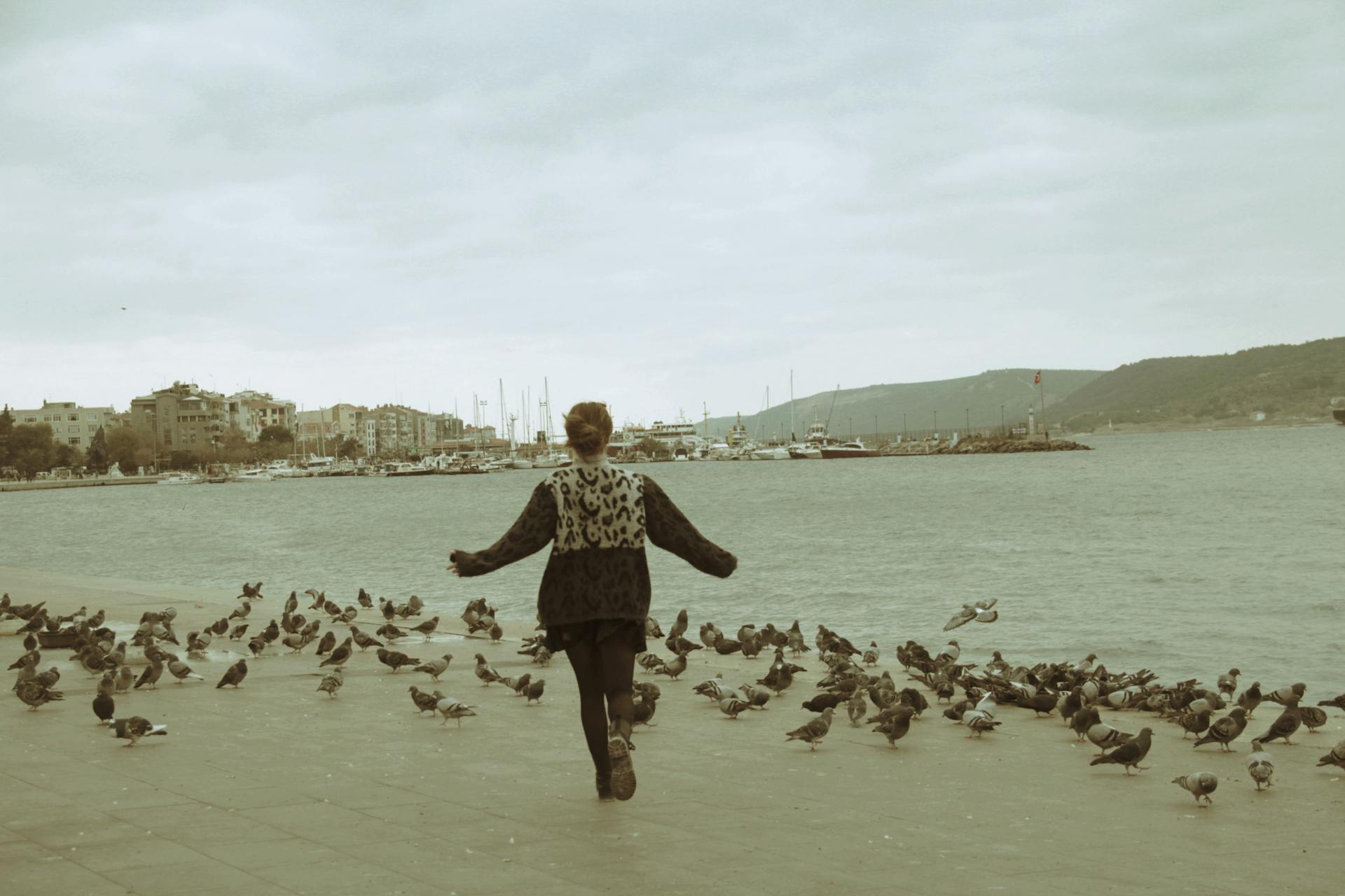 Woman Chasing Away a Flock of Pigeons on the Port Promenade
