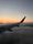 airplane wing