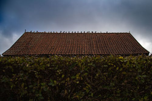 Kostenloses Stock Foto zu chillen, dach, vor dem sturm