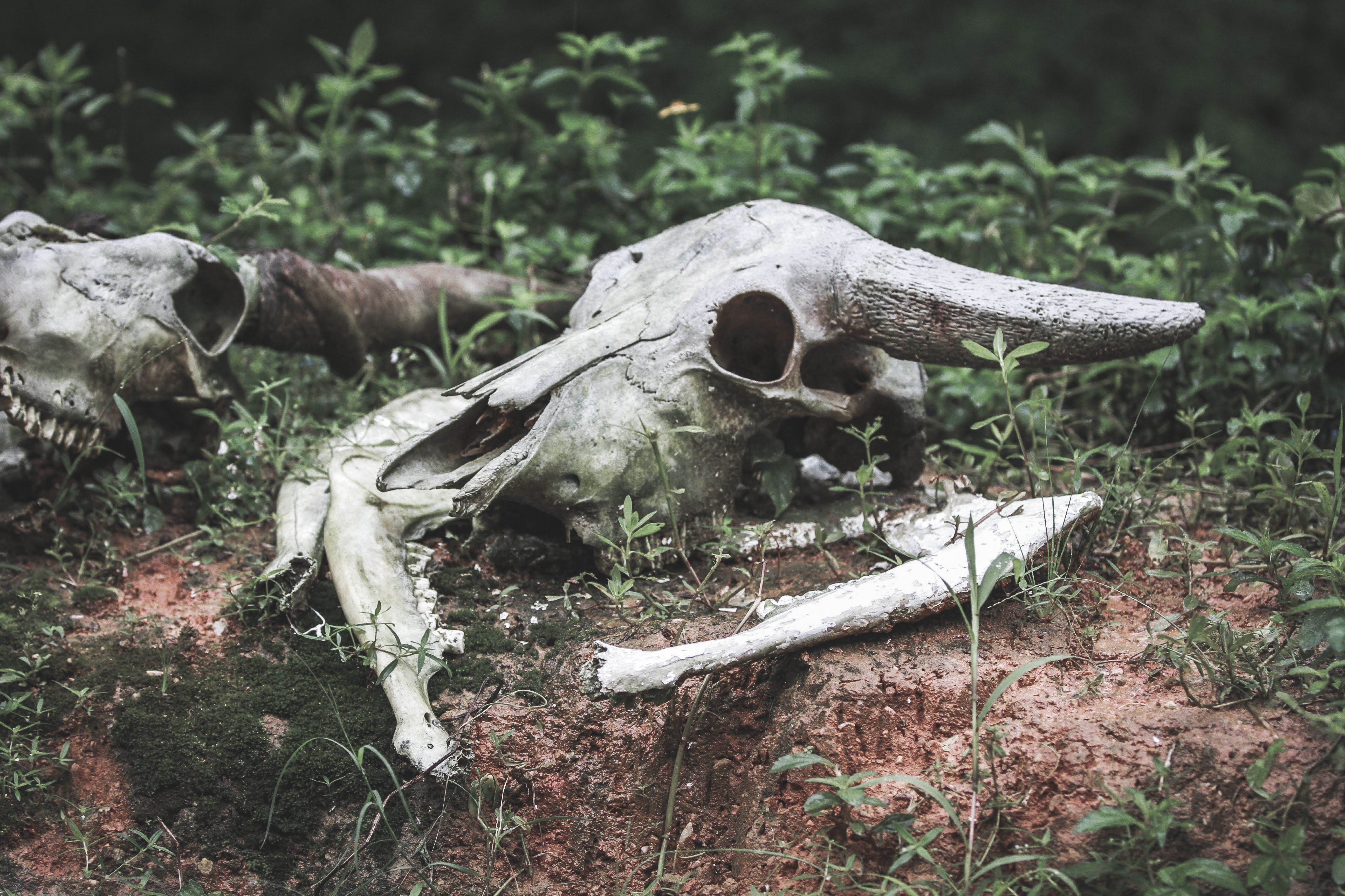 Remember the MOOCs? After Near-Death, They’re Booming (Published 2020) — Photo by Mehmet Turgut  Kirkgoz on Pexels