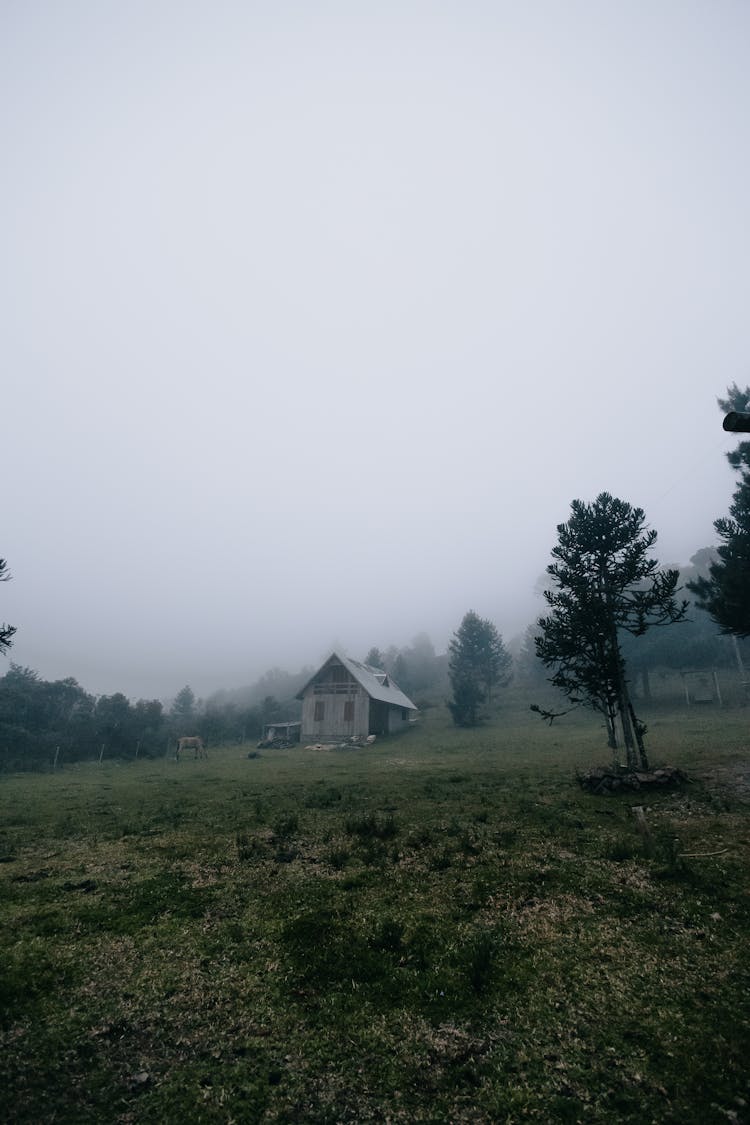 House In Foggy Mountains