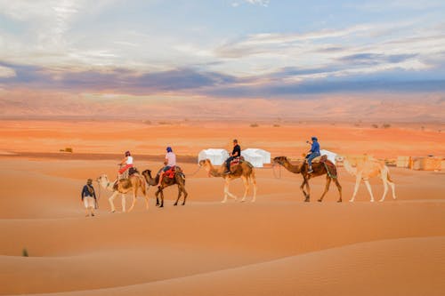 Безкоштовне стокове фото на тему «екскурсія містом, єгипетська пустеля, занедбаний»