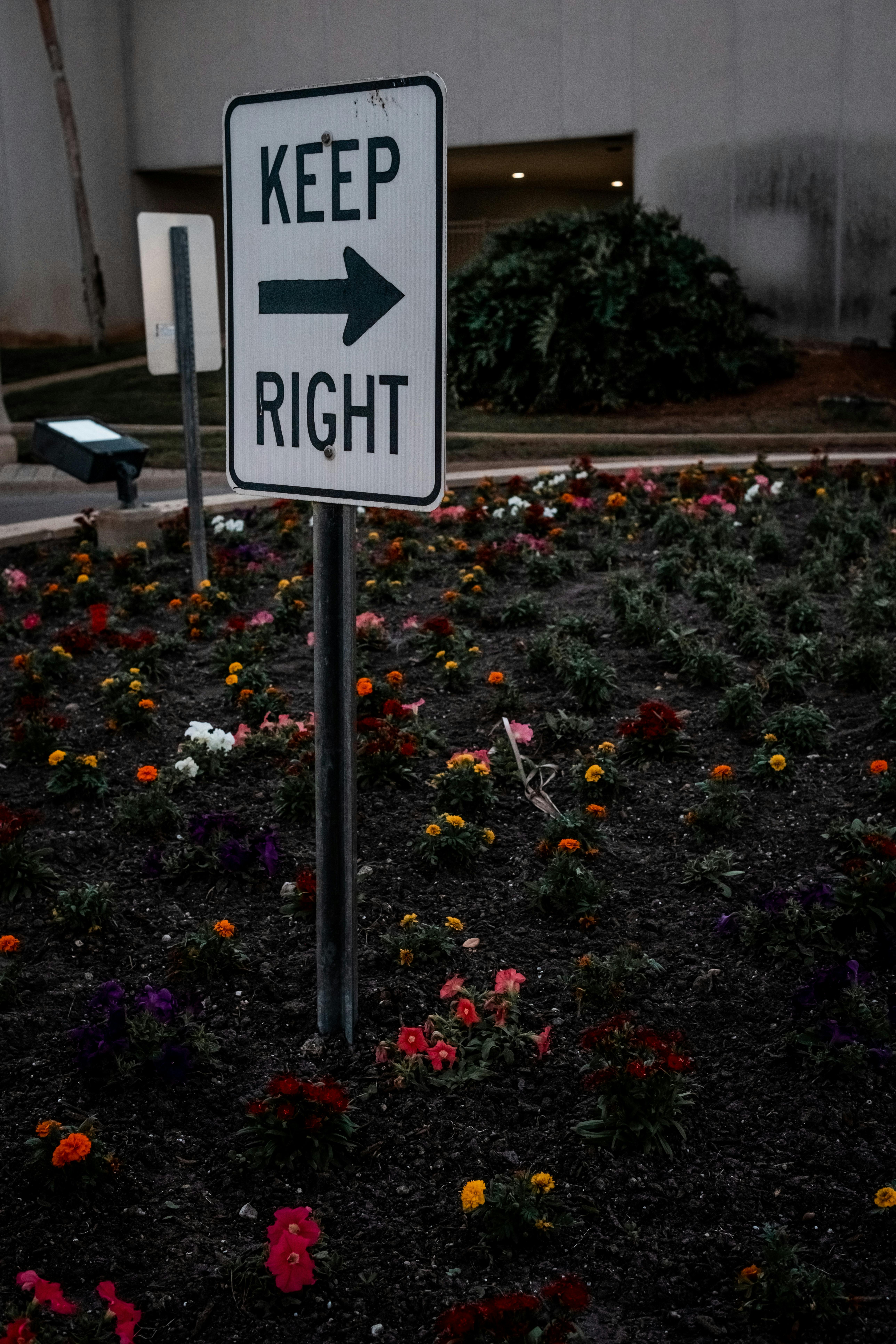 white and black street sign