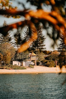 Tranquil view of a lifeguard tower on Miami Beach, surrounded by trees.