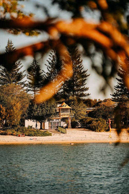 Free Tranquil view of a lifeguard tower on Miami Beach, surrounded by trees. Stock Photo