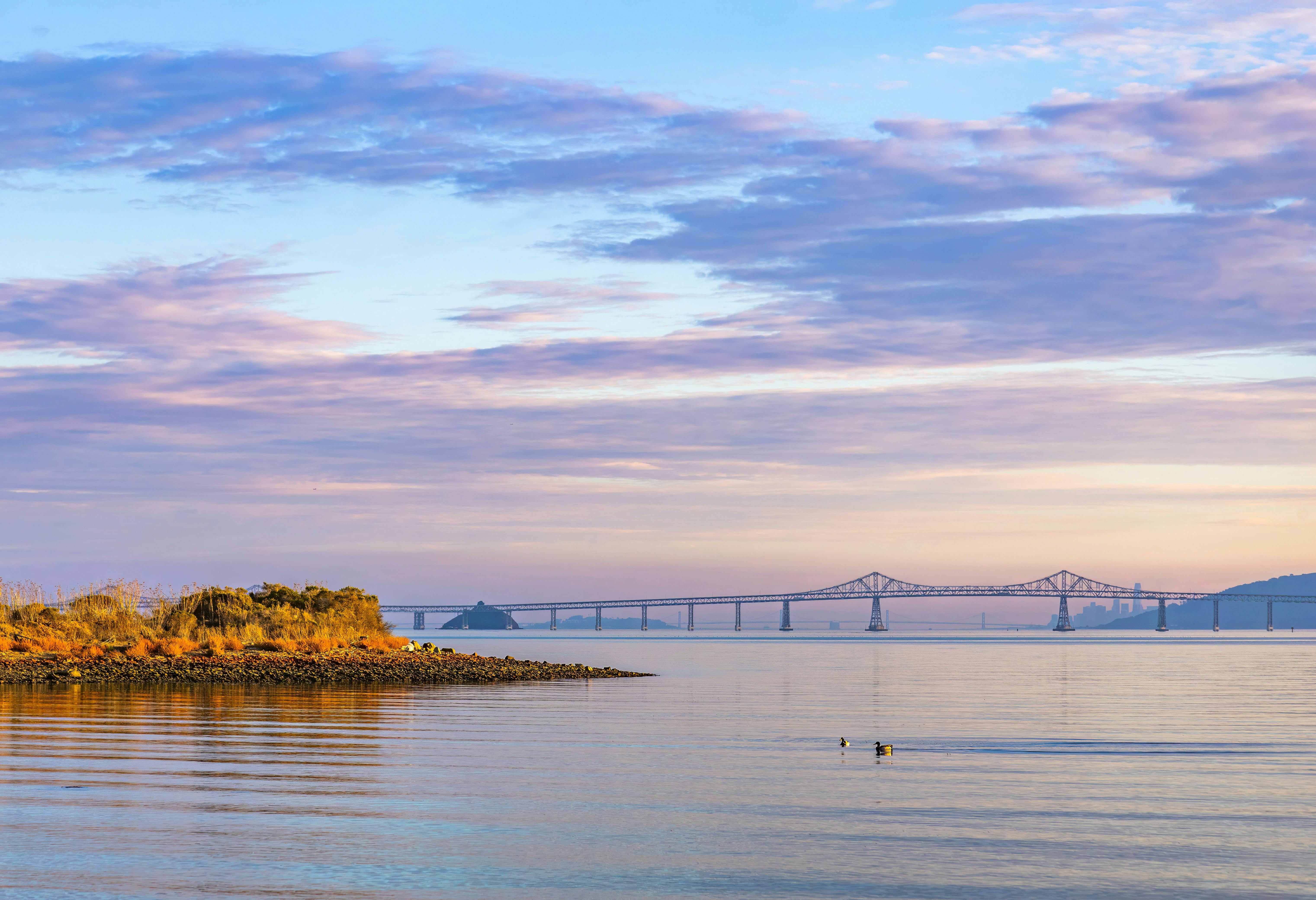 San Juan Climate Convergence Strengthens County-Wide Resilience and Partnerships - The Journal of the San Juan Islands — Phot