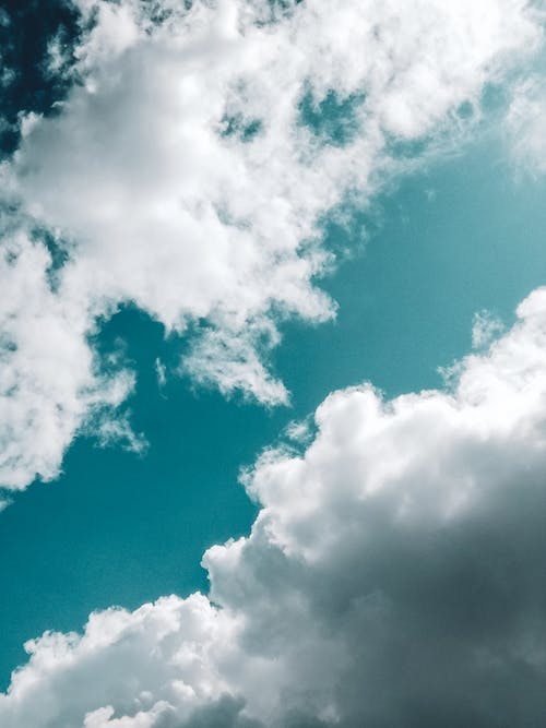 Foto profissional grátis de atmosfera, céu azul, de baixo