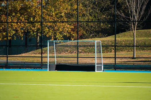 A vibrant green soccer field with an empty goal net on a sunny day, perfect for sports recreation.