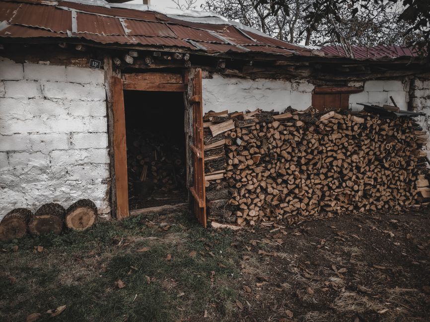 A rustic scene with stacked firewood next to an open shed door in an outdoor setting.