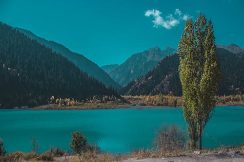 Mountain lake Issyk  in October