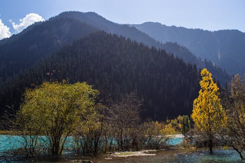 Mountain lake Issyk  in October