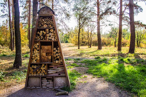 Insect hotel in the park
