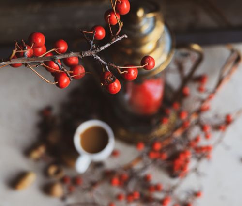 Free Close-up of red berries, a cup of coffee, and a vintage lantern in an artistic still life setting. Stock Photo