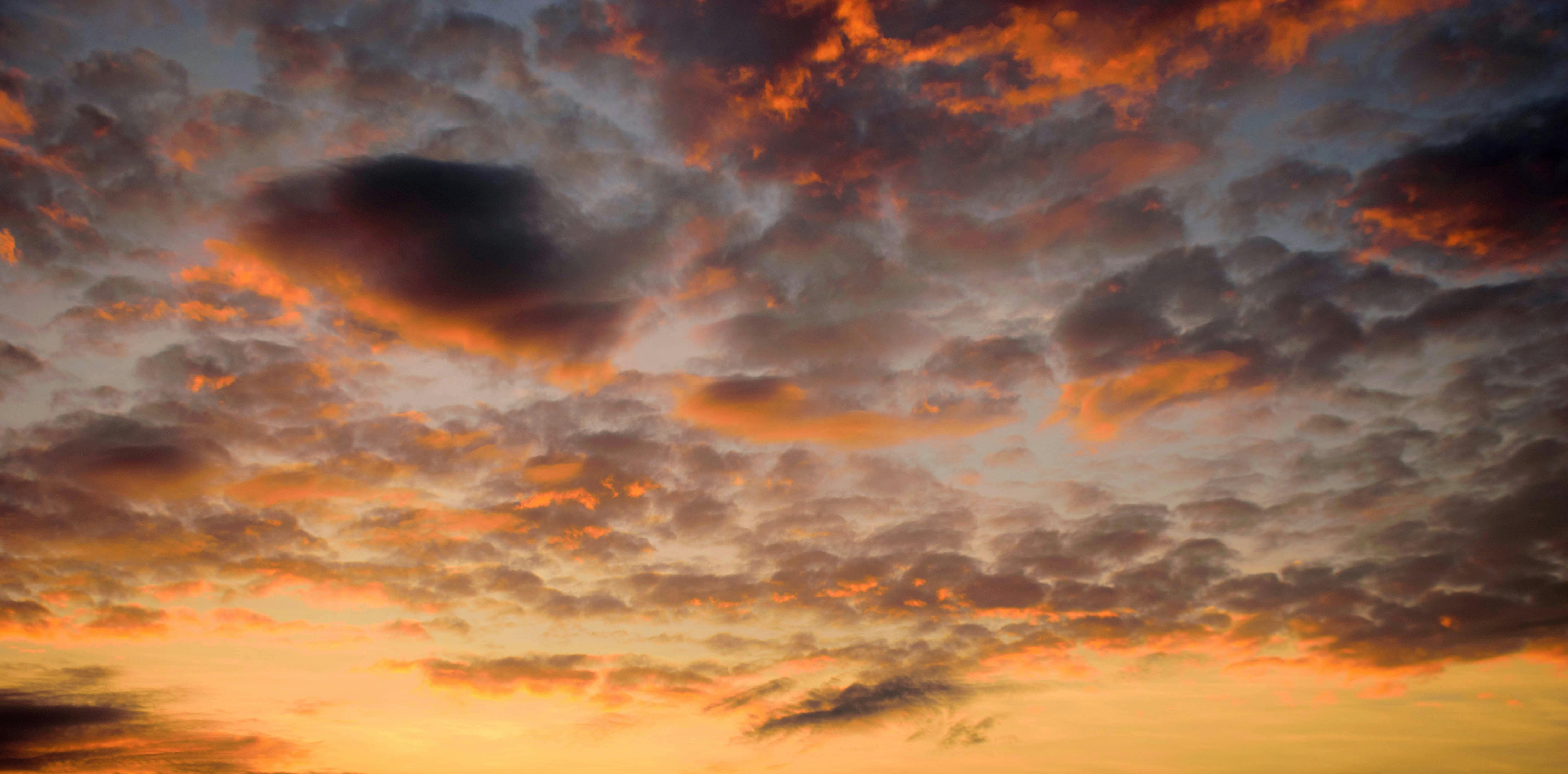 恐怖游戏全攻略，你准备好了吗