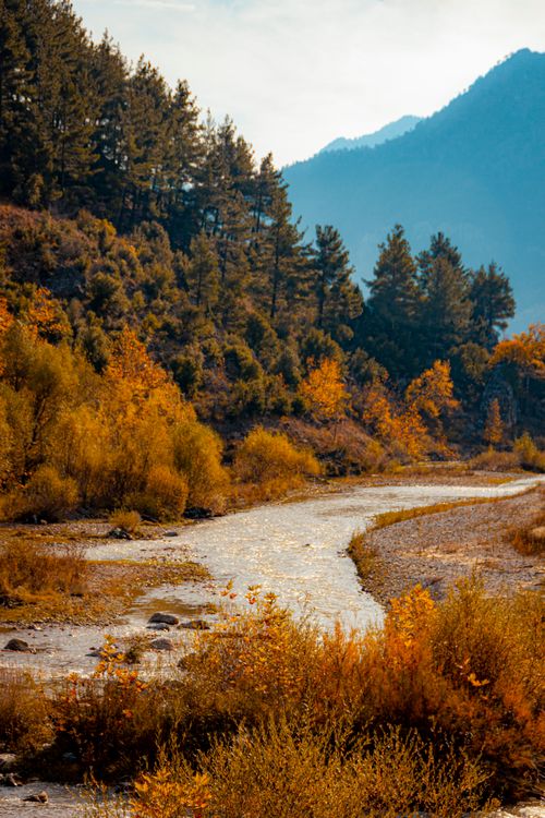 Free Peaceful autumn scene featuring a flowing river surrounded by vibrant fall foliage and mountains. Stock Photo