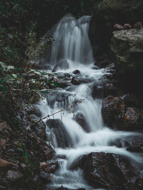 Free Tranquil waterfall cascading over rocks in a lush forest, showcasing the beauty of nature. Stock Photo