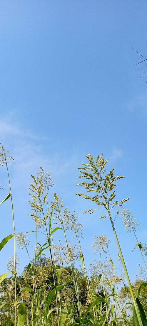 Free stock photo of beautiful, blue, clear Stock Photo