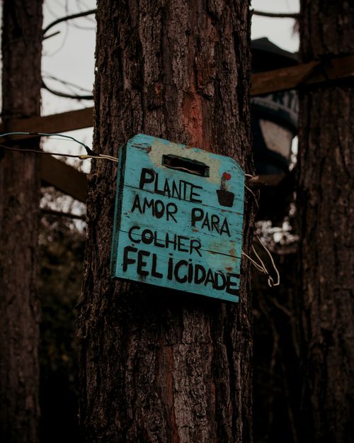 Free Close-up of a wooden sign with inspirational message on a tree trunk in a forest setting. Stock Photo