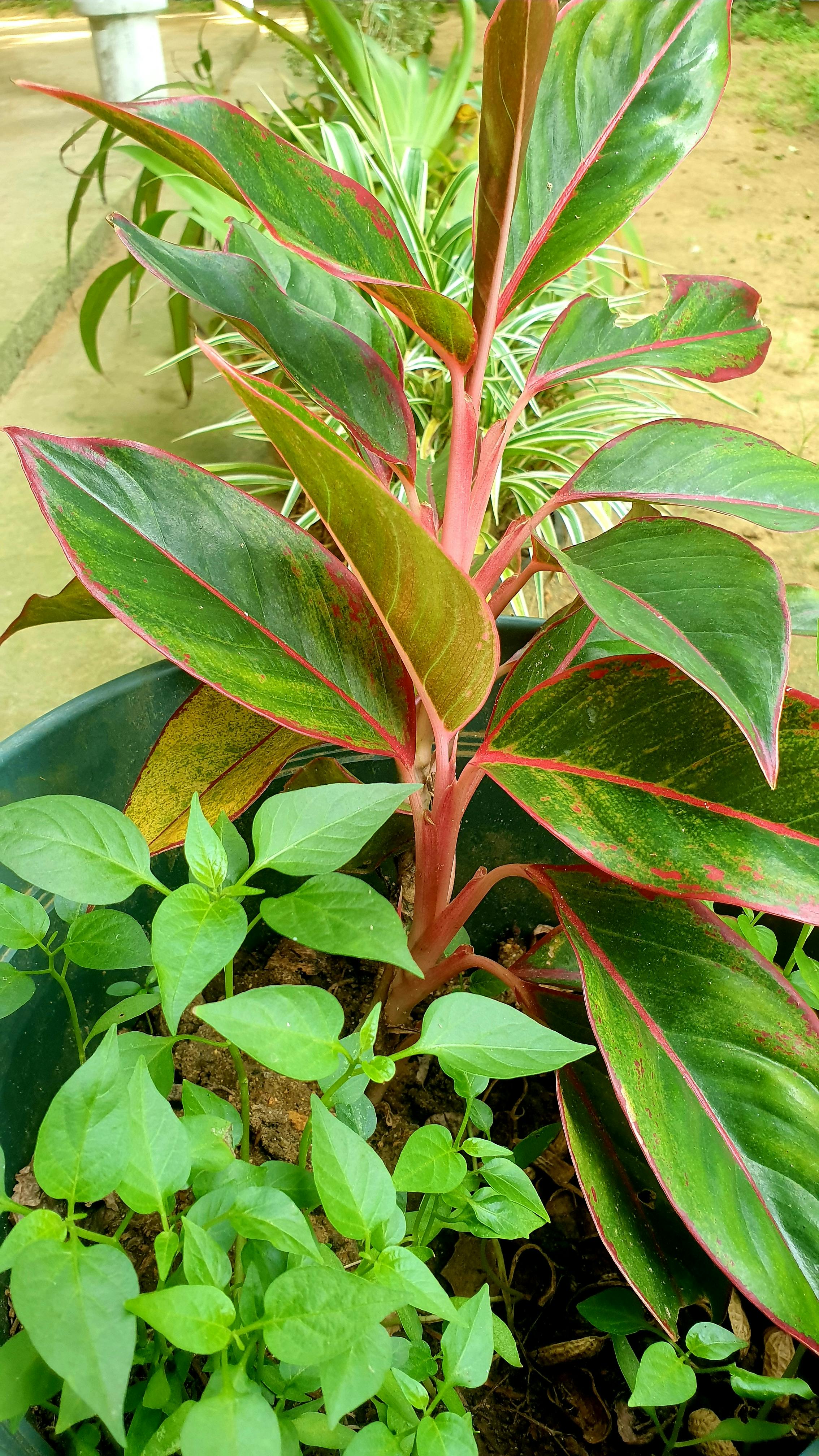 Smart speaker on a table in a modern home environment
