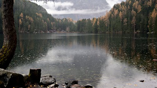 Foto d'estoc gratuïta de a l'aire lliure, aigua, alba