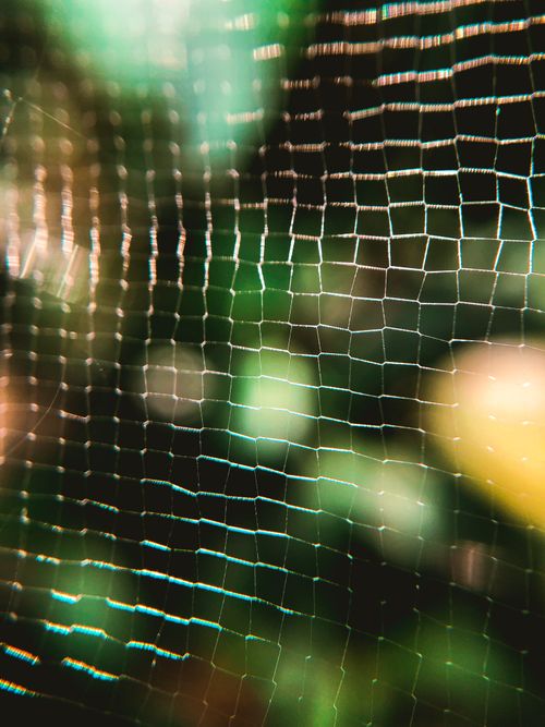 Free Close-up of a spider web with illuminated bokeh, creating a dreamy abstract texture. Stock Photo